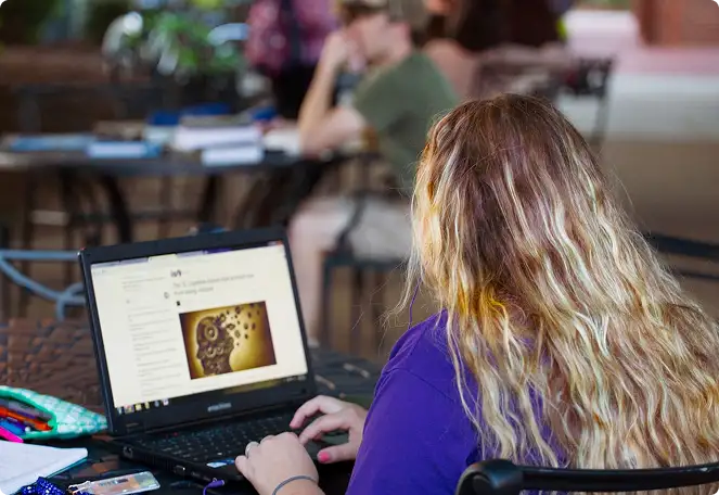 Collaboration with top researchers and PhD students within Europe’s AI ecosystem.